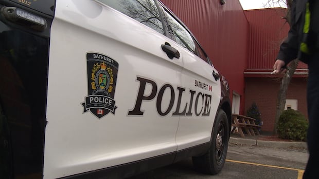 bathurst-cop-faces-harassment,-threats-charges-|-cbc-news