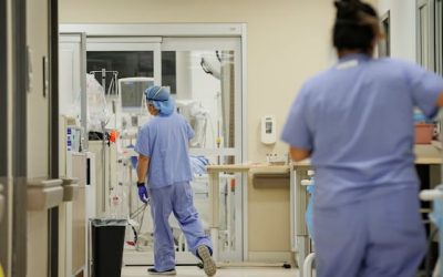 Maritime provinces to create public travel nurse agency, P.E.I. health minister says | CBC News