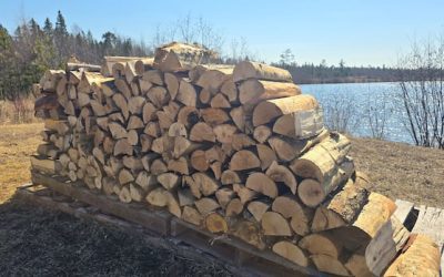 The cost of firewood is red hot, but it’s still likely the cheapest option for heat in N.B. | CBC News