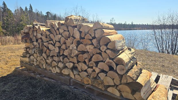 the-cost-of-firewood-is-red-hot,-but-it’s-still-likely-the-cheapest-option-for-heat-in-nb.-|-cbc-news