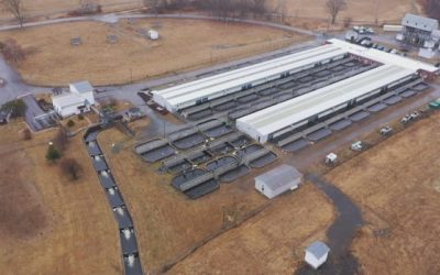 First Nations continue call to save Mactaquac salmon facility | CBC News