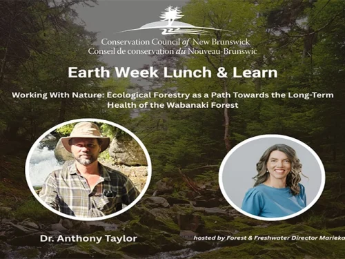 conservation-council-earth-week-forestry-webinar