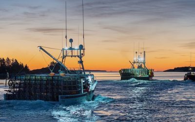 Lobster harvesters hope for strong prices as cost of fuel and other expenses soar | CBC News