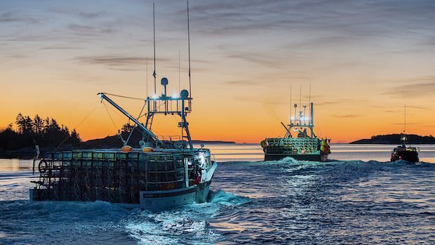 lobster-harvesters-hope-for-strong-prices-as-cost-of-fuel-and-other-expenses-soar-|-cbc-news