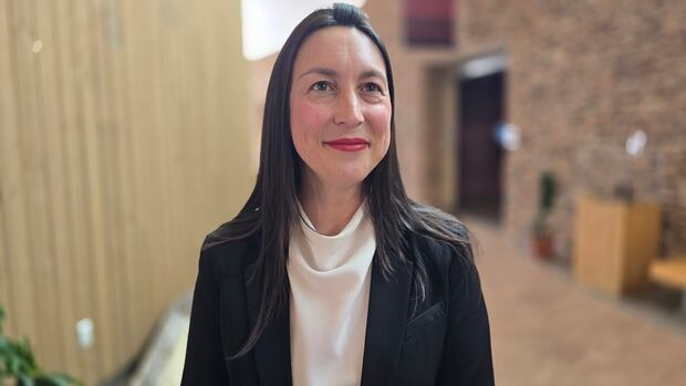 province-puts-new-funding-into-tourism-associations,-operator-grant-|-cbc-news