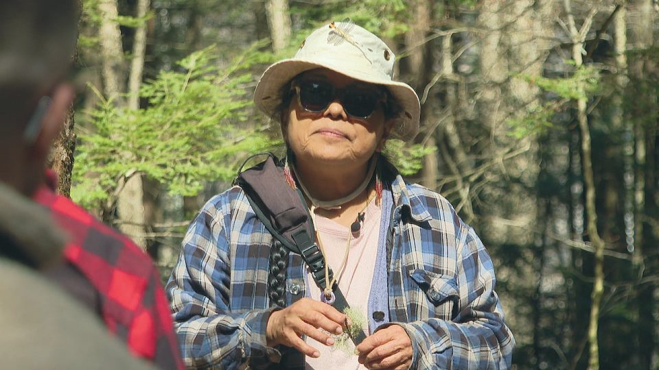 looking-to-the-land,-not-the-grocery-store-for-food