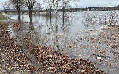 Water levels on the rise along N.B.’s lower St. John River | CBC News