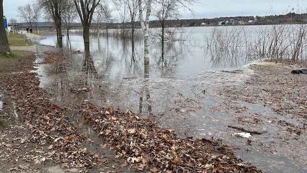 water-levels-on-the-rise-along-nb's-lower-st.-john-river-|-cbc-news