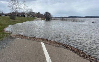 St. John River in Fredericton, Gagetown nearing flood stage | CBC News