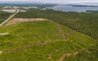 Saint John data centre wouldn’t guzzle city water, companies say | CBC News