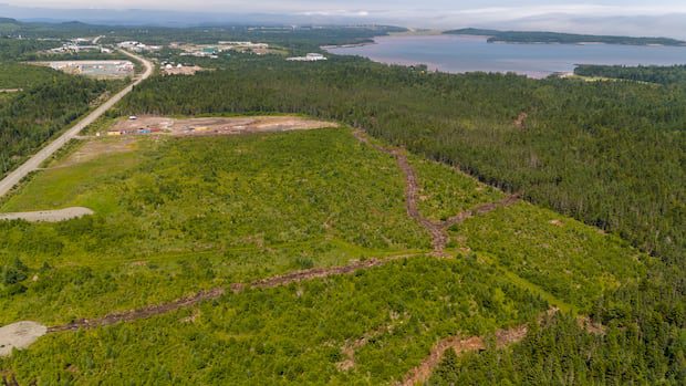 saint-john-data-centre-wouldn't-guzzle-city-water,-companies-say-|-cbc-news