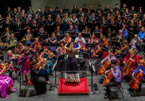 symphony-nb-gets-stellar-review,-funding-boost-from-canada-council-|-cbc-news