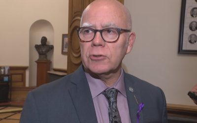 N.B. security office needs oversight, Green leader says | CBC News