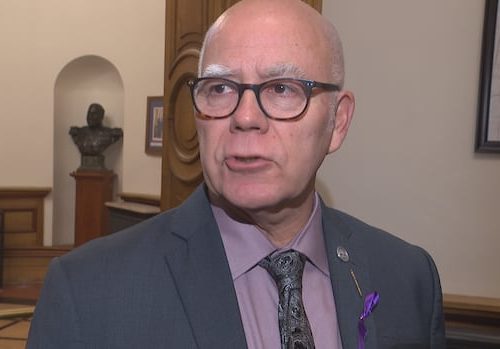 nb.-security-office-needs-oversight,-green-leader-says-|-cbc-news