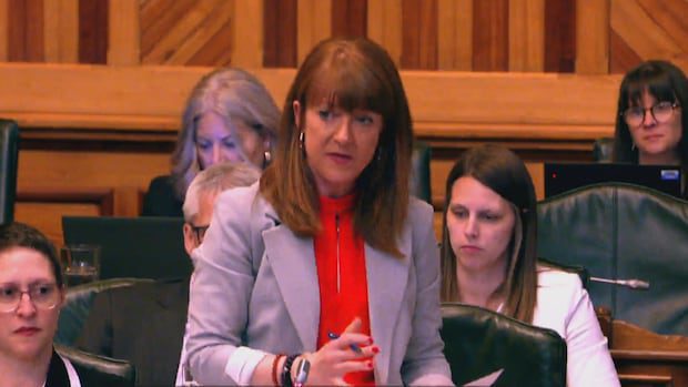 nb.-opts-for-shared-cost-model-instead-of-pay-what-you-can-for-school-lunches-|-cbc-news