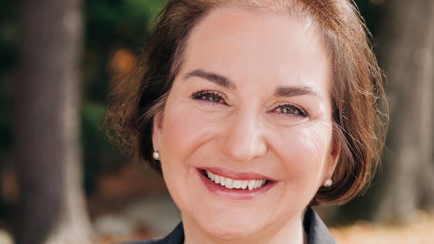 maine-lawmakers-want-to-pause-data-centre-projects-|-cbc-news