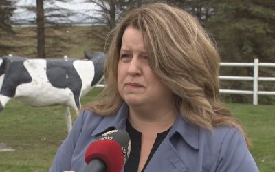 PC MLA questions provincial payments to Agropur months before Sussex job losses announced | CBC News