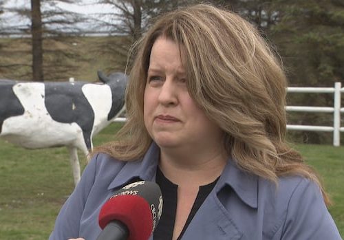 pc-mla-questions-provincial-payments-to-agropur-months-before-sussex-job-losses-announced-|-cbc-news