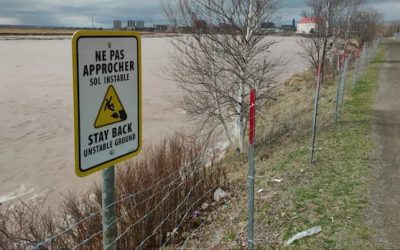 Province to add rock along eroding Petitcodiac River shore in Dieppe | CBC News