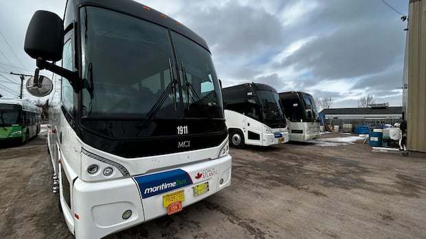 maritime-bus-asks-regulators-to-make-changes-to-rates,-services-|-cbc-news