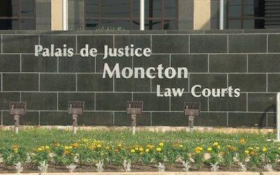 Sentencing for assault delayed to make room for race and culture impact report | CBC News