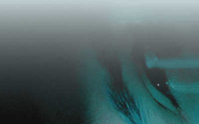 Photography Exhibition | May 1 – June 15, 2026