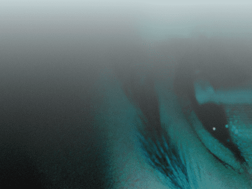 photography-exhibition-|-may-1-–-june-15,-2026