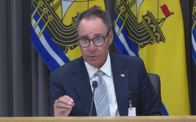 Liberal minister says plan to cut provincial vet services could be delayed or shelved | CBC News