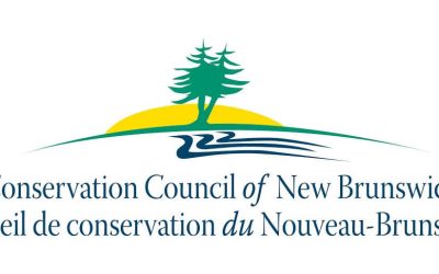 New Brunswick climate emissions climb in 2024 as new high-polluting projects loom