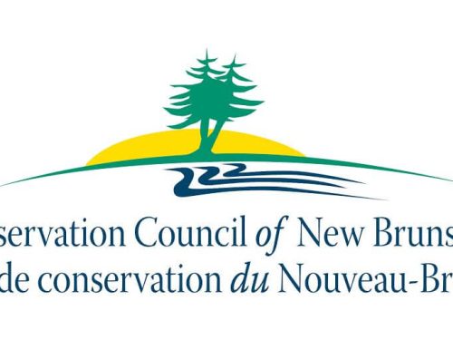 new-brunswick-climate-emissions-climb-in-2024-as-new-high-polluting-projects-loom