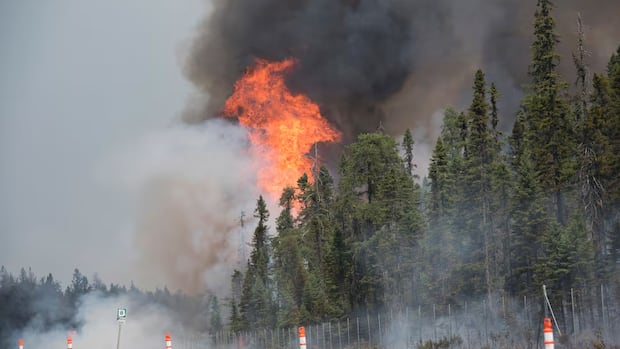 saint-john-takes-steps-to-protect-itself-better-against-wildfires-|-cbc-news
