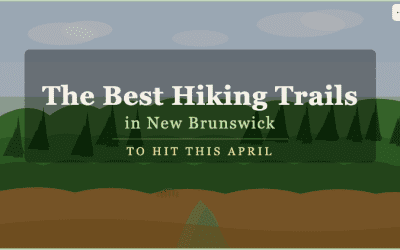 The Best Hiking Trails in New Brunswick to Hit This April