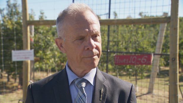 province-to-push-ahead-with-vet-service-cuts,-with-small-extension-for-equine-care-|-cbc-news