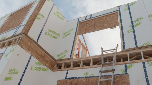 nb.-skilled-trades-sectors-applaud-federal-plan-to-boost-workforce-but-question-capacity-to-train-them-|-cbc-news