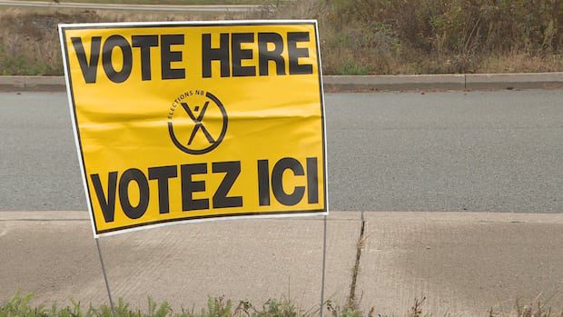 names-in-the-running:-governor,-the-coach-and-smoothy-all-have-municipal-ambitions-|-cbc-news