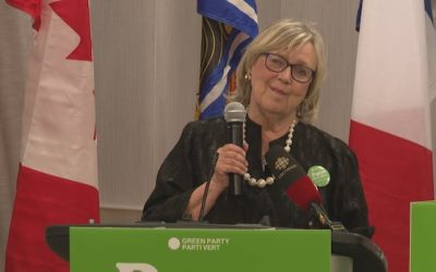 Green Party leader says Fredericton-area riding association deregistration an ‘administrative error’ | CBC News