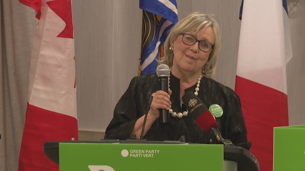 green-party-leader-says-fredericton-area-riding-association-deregistration-an-'administrative-error'-|-cbc-news