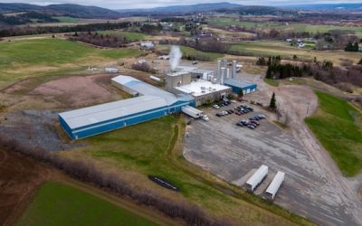 Former PC minister says Agropur told government years ago Sussex-area dairy plant could be closed | CBC News