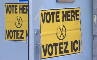 Thinking about your vote? We talked to mayoral candidates around N.B. | CBC News