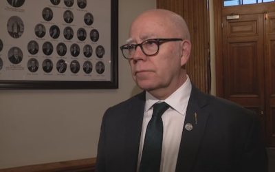 Green leader calls for more frequent reporting from suicide review committee | CBC News