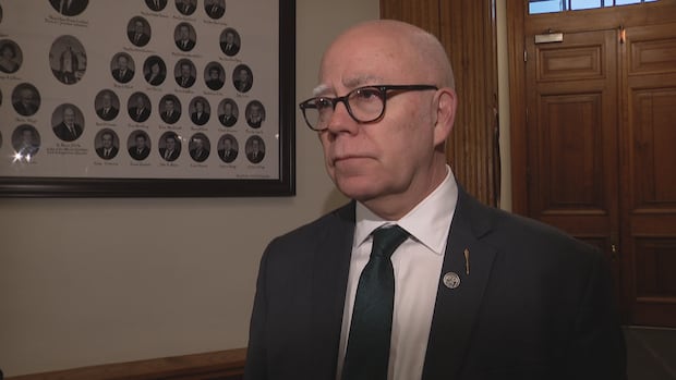 green-leader-calls-for-more-frequent-reporting-from-suicide-review-committee-|-cbc-news