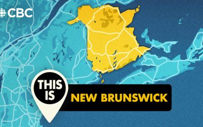 Voting on May 11? Everything you need to know about municipal elections
