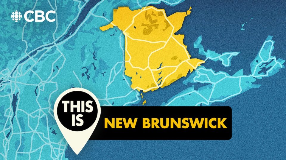 voting-on-may-11?-everything-you-need-to-know-about-municipal-elections