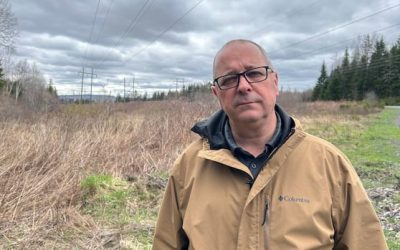 Edmundston mayor decries N.B. Power work on transmission lines to Maine | CBC News