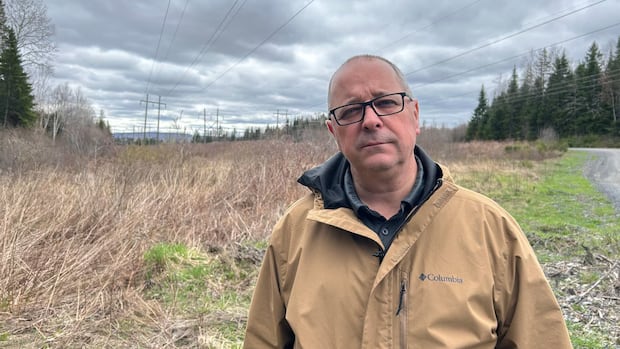 edmundston-mayor-decries-nb.-power-work-on-transmission-lines-to-maine-|-cbc-news