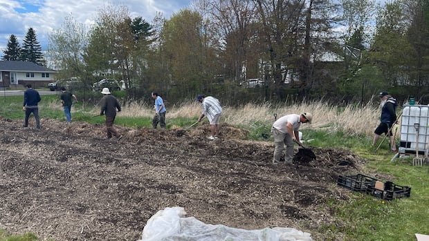fredericton-farm-sees-more-interest-from-those-trying-to-avoid-rising-grocery-prices-|-cbc-news