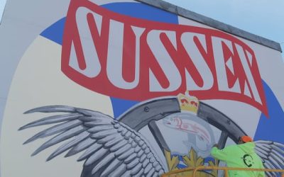 Artists painting next chapter for Sussex’s famous murals | CBC News