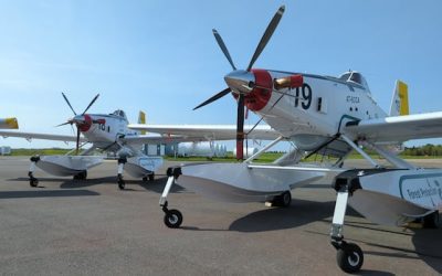 Province shows off 4 new planes to boost wildfire-fighting efforts in N.B. | CBC News
