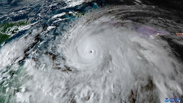 this-year’s-atlantic-hurricane-season-expected-to-be-below-average,-thanks-to-el-nino-|-cbc-news