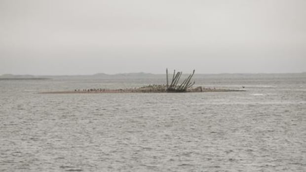 how-a-european-island-ended-up-in-richibucto-harbour-|-cbc-news